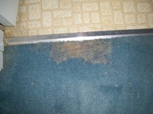 bleach damage to blue carpet